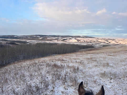 Limited Tickets Available