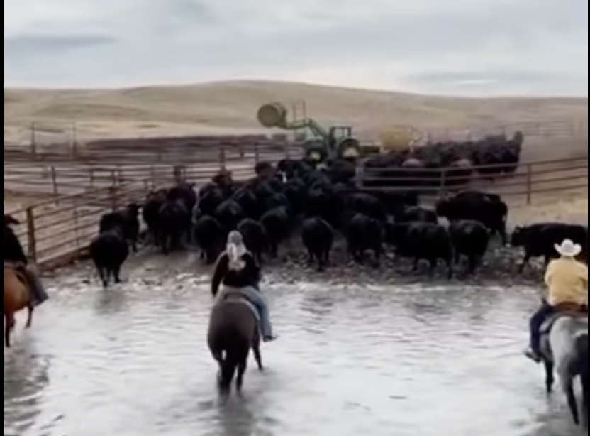 New Music From Colter Wall?