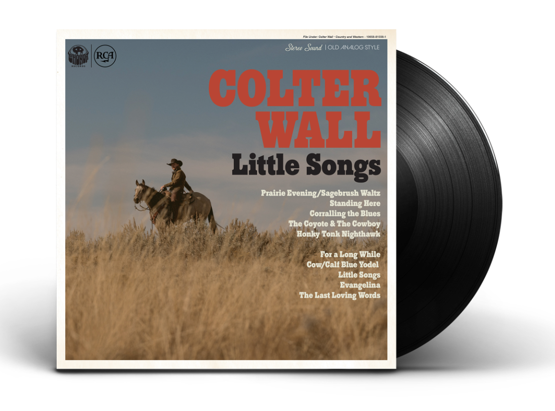 Record Lover - Vintage Vinyl Music - Record - Vinyl Poster for Sale by  CattlettArt